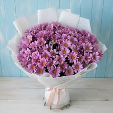 Букет цветов из:  Хризантемы в Городовиковске