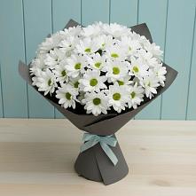 Букет цветов из:  Хризантемы в Городовиковске