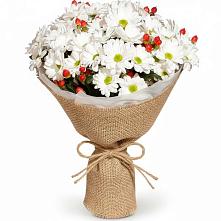 Букет цветов из:  Хризантемы #REPLACE_PRED# Городовиковске