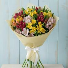 Букет цветов из:  Альстромерии в Городовиковске