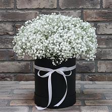 Цветочная композиция из Гипсофила в шляпной коробке #REPLACE_PRED# Городовиковске
